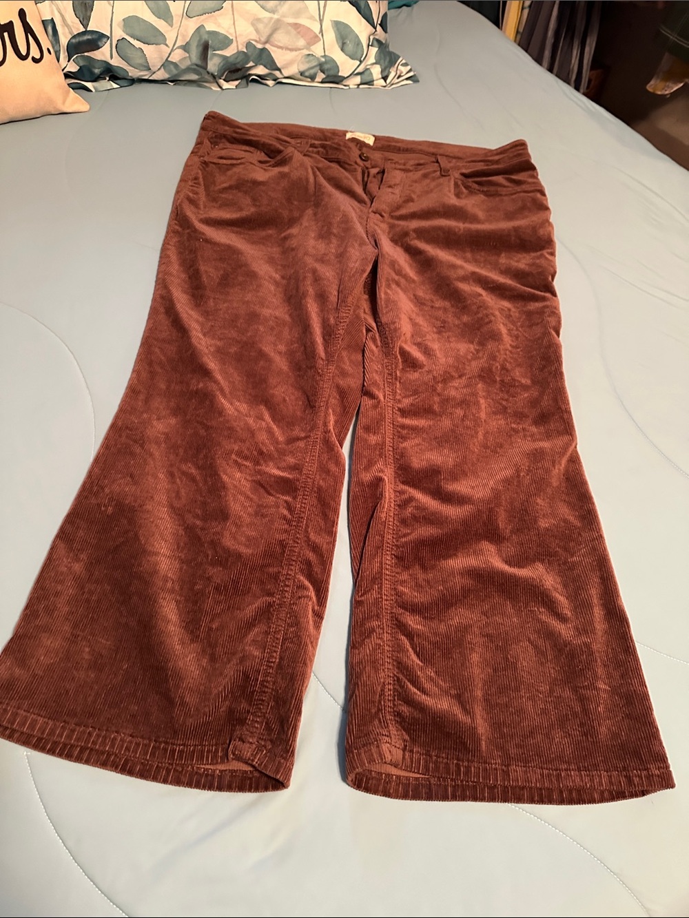 Pilcro Corduroy Wide-Leg Pants in Rust